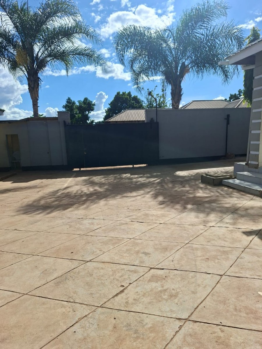 Driveway and palm trees inside the property
